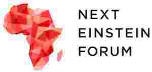 Next Einstein Forum (NEF)